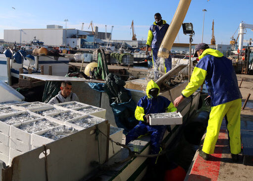 Pescadors Tarragona