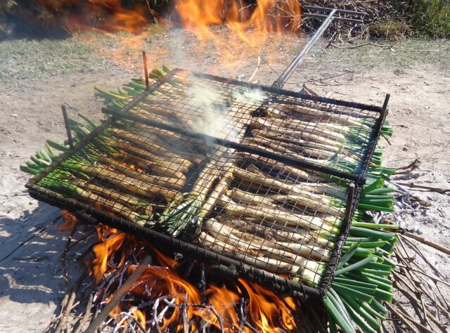 calçotada camp