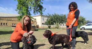 Carrer Major | Incorporar un animal a la família: què cal tenir en compte abans de fer el pas?