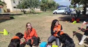 terapia amb gossos