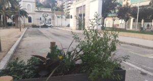 barri del Port plantada