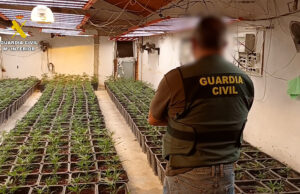 Desarticulada una xarxa de tràfic de drogues a la província