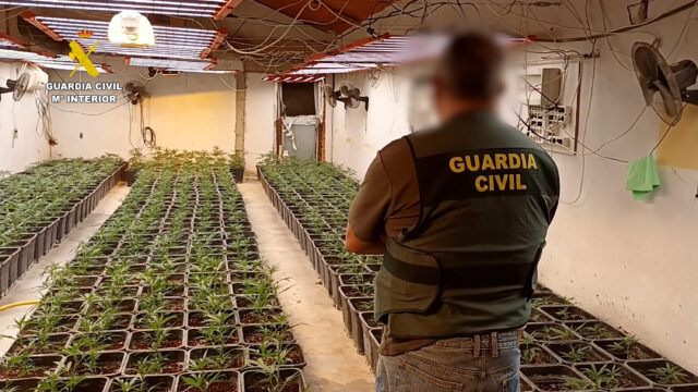 Gurda Civil Marihuana