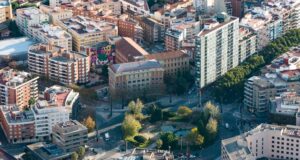 Tarragona inicia la campanya per foragitar estornells