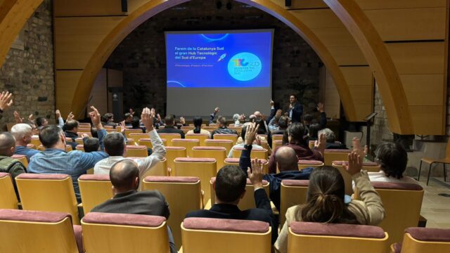 TICSUD PLAESTRATEGIC