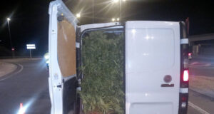 Tres detinguts a Tarragona per transportar marihuana en dues furgonetes