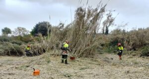 Impuls a la inclusió i al medi natural amb 240.000€ en ajuts de la Diputació