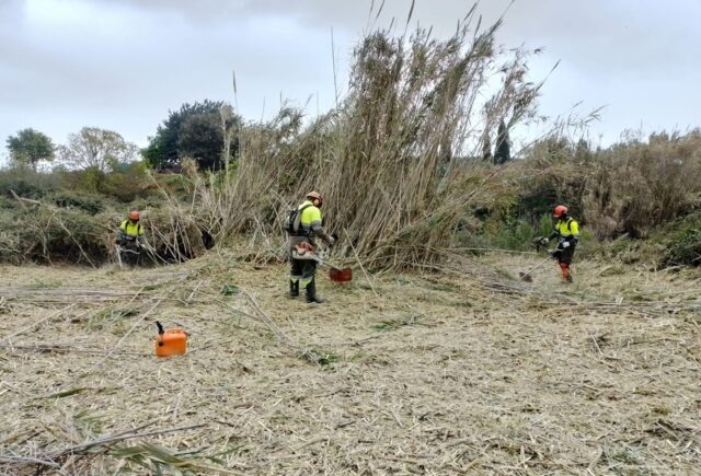 Treballs medi natural Diputació Tarragona