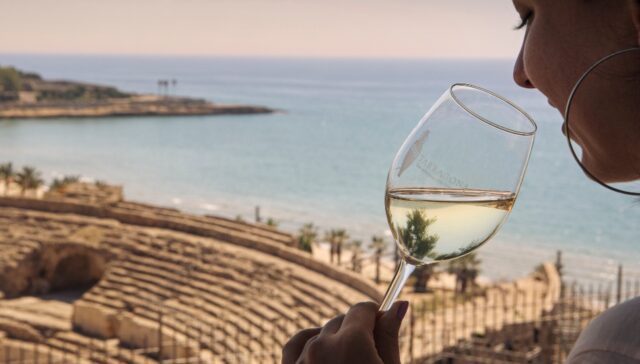 Vins DO Tarragona amfiteatre