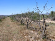 Setmana de canvi de temperatures a Tarragona fred