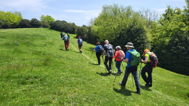 ActivitatsEsportives_1