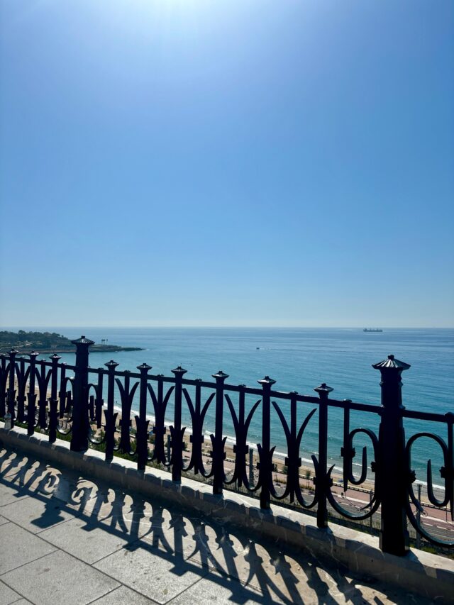 WhatsApp Image 2025-11-06 at 10.44.47