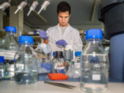 La URV llança una spin-off per comercialitzar ingredients funcionals