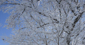 Solstici d’hivern: què és, quan passa i per què marca l’inici de l’hivern hivern