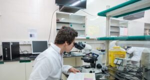 La URV tindrà grau en Farmàcia a partir del curs 2027/28