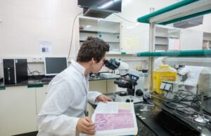 La URV tindrà grau en Farmàcia a partir del curs 2027/28