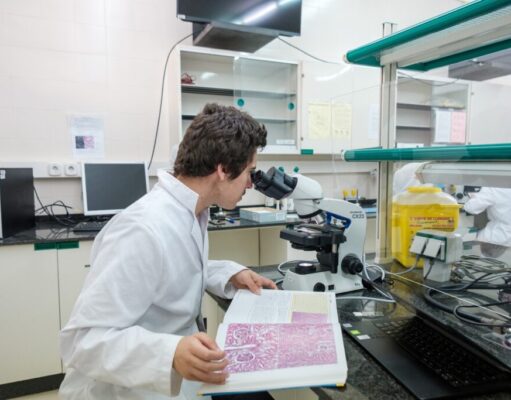 La URV tindrà grau en Farmàcia a partir del curs 2027/28