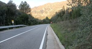 Retirats gairebé 200 animals atropellats a les carreteres durant el 2025