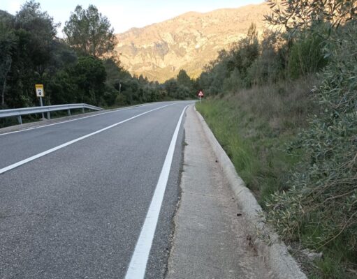 Retirats gairebé 200 animals atropellats a les carreteres durant el 2025