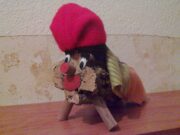 Veïns | Qui ajuda els tions a arribar a casa? Tió de Nadal