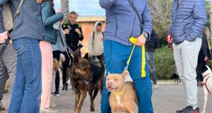 Èxit del ‘Un Passeig Bestial’ a Tarragona