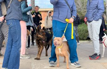 Èxit del ‘Un Passeig Bestial’ a Tarragona