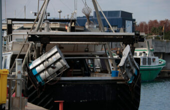 La federació de confraries de pescadors a Tarragona diu que tenir menys de 143 dies de pesca “no s’hauria entès” Confraria de Pescadors de Tarragona