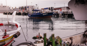 Els GALP veuen “perillosa” la reforma financera que planteja la Unió Europea