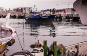 Els GALP veuen “perillosa” la reforma financera que planteja la Unió Europea