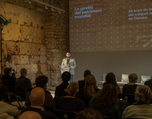 Pla Gestió Tàrraco Viñuales