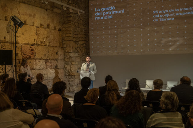 Pla Gestió Tàrraco Viñuales