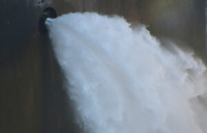 Susqueda desembassant