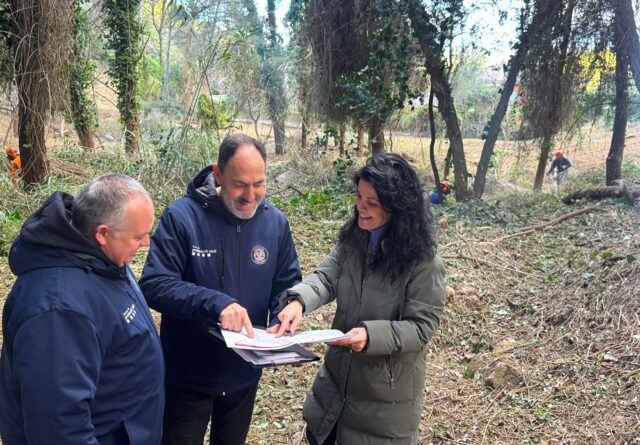 neteja forestal risc incendis