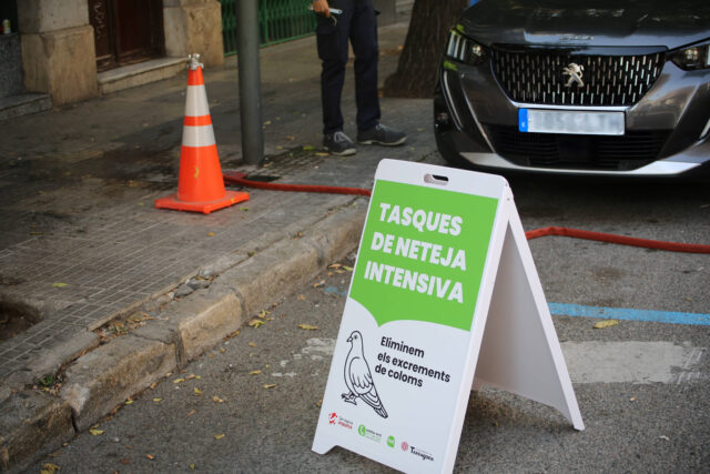 Tasques neteja excrements coloms 2