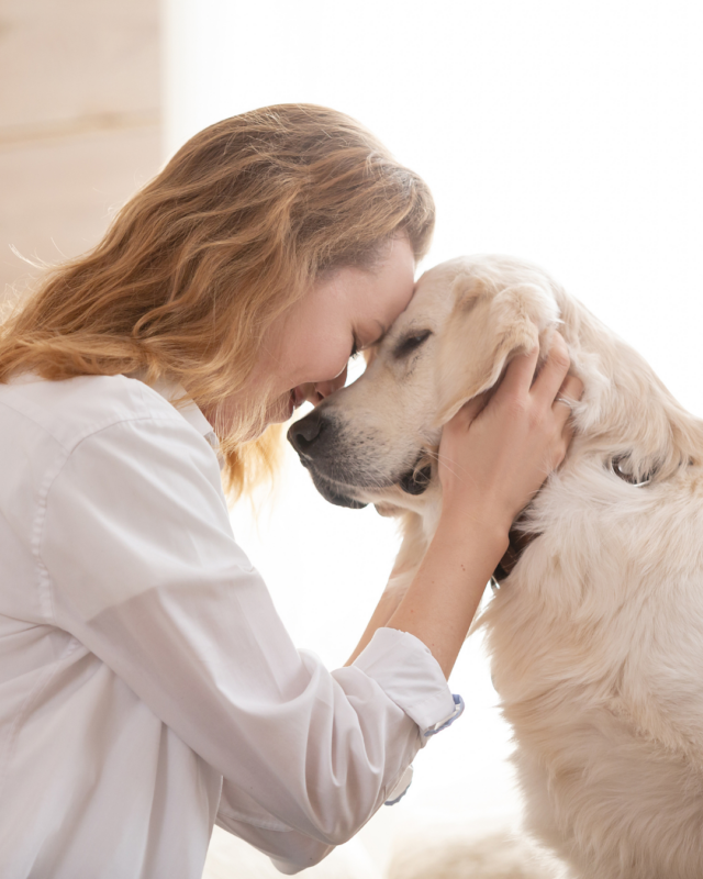 84fa4f45-baef-4a78-8d29-398e1fb90024 mascota