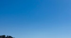 Pistas deportivas y un parque de calistenia, la apuesta por el espacio donde estaba el «mamotreto»