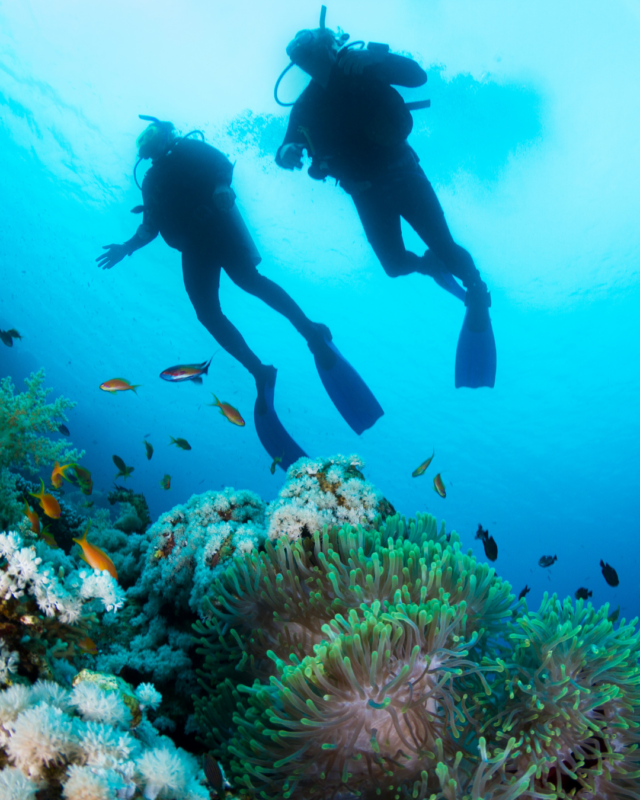 Dragonera Tarragona vaixell enfonsat