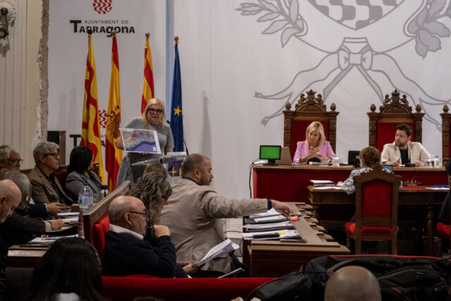 Biblioteques Ple 1