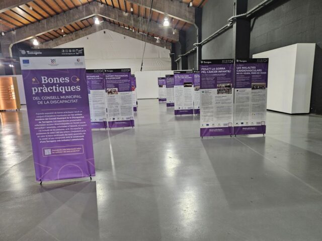 BonesPràctiques_Discapacitat