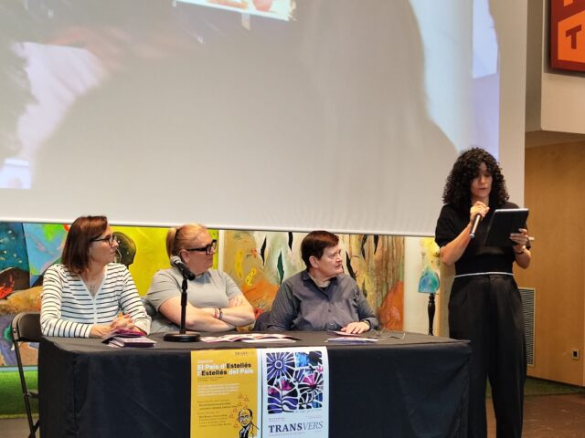 Festival Transvers