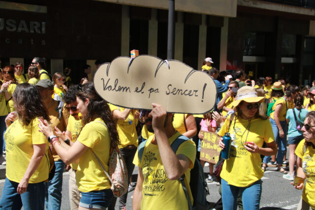 Mani profes