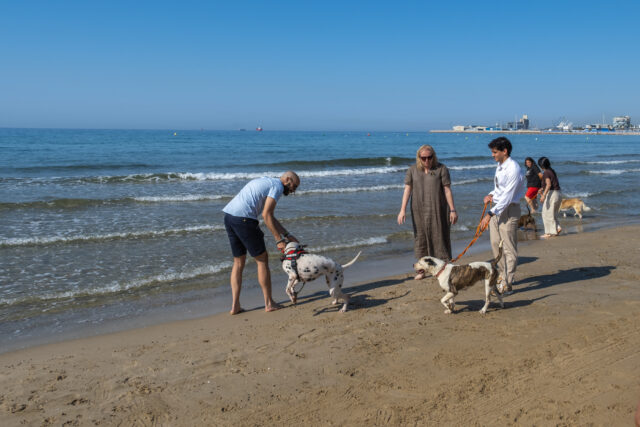 Platges gossos tarragona Platges gossos tarragona
