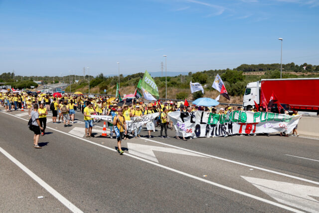 Profes AP 7 tORREDEMBARRA