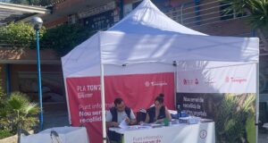 Tarragona estrena la recollida de restes vegetals: així es podrà demanar Restes vegetals