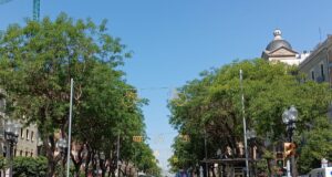 La Rambla Nova s’il·lumina de groc per donar la benvinguda al Tour