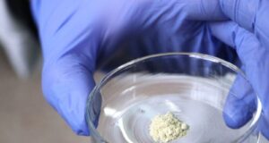 nanocapsules cancer ciencia