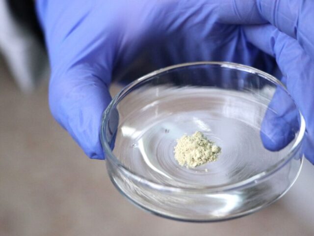 nanocapsules cancer ciencia