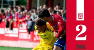 nastic tarazona