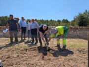 Salou planta 848 nous ceps al Pla de Maset per recuperar varietats
