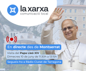 VISITA PAPA 300 X 250